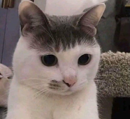 アラフィフの方前髪ありますか