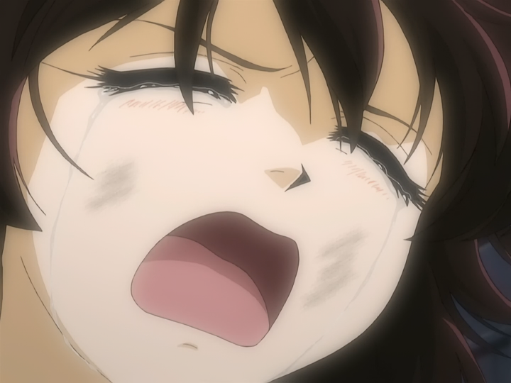 マイナーなアニメを挙げたら、見たことある人がコメントくれるトピ Part10