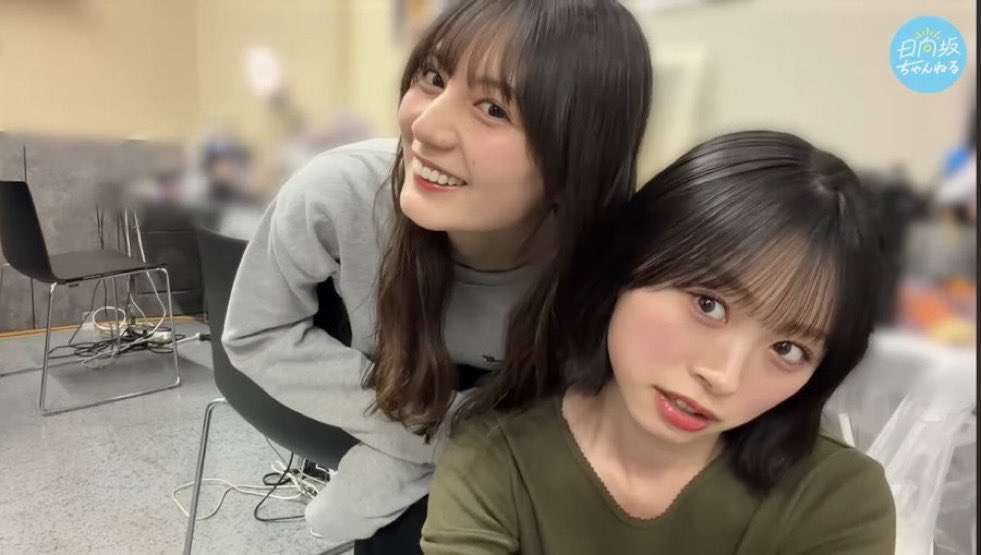 日向坂46を語りたいPart15