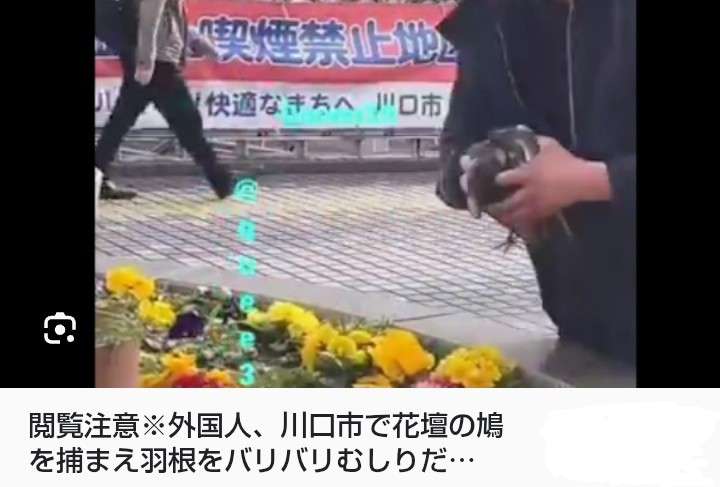 ≪飯能≫「腹が減って食べ物を盗もうと…」91歳女性殺害を供述したベトナム国籍の男、在留資格なし…奪った車で“3台追突”の逃走劇