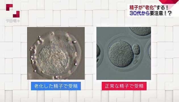 43歳男性の「子ども産めますか？」に凍りついた38歳婚活女性。“子ども希望圧”が敬遠され、「授かりもの」と寄り添う男性が選ばれる理由