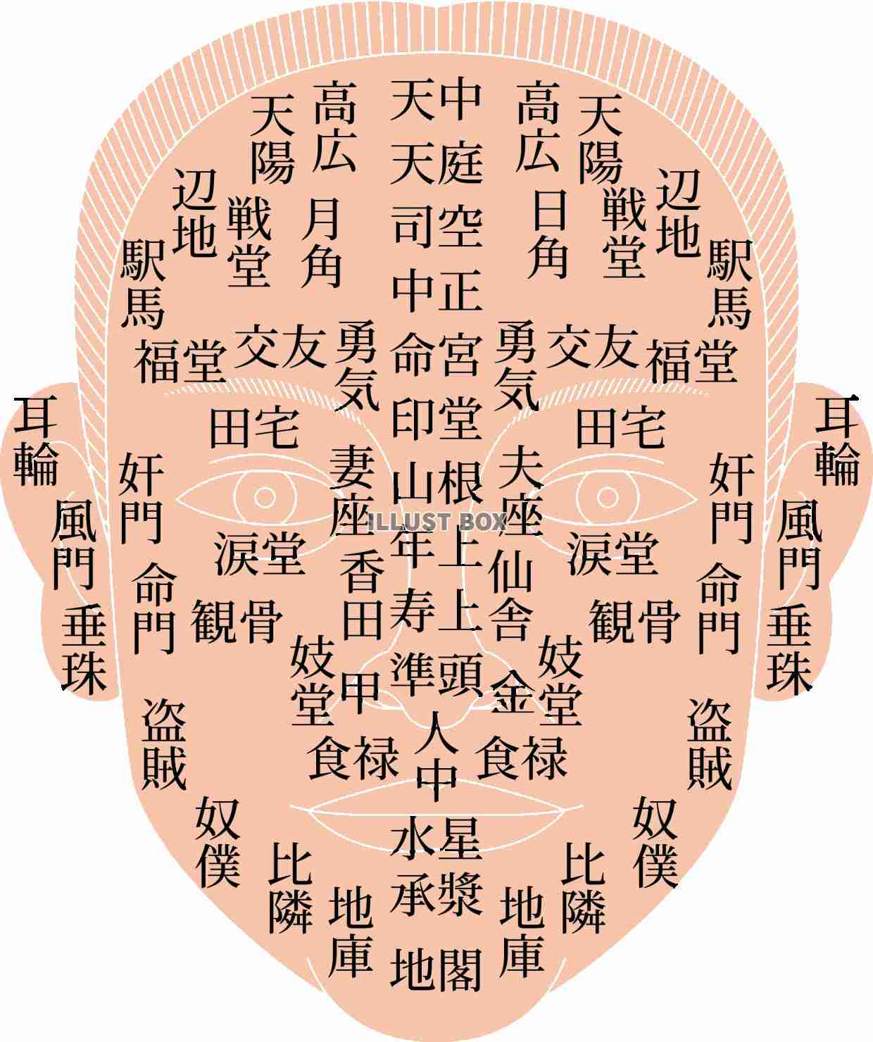人相学・観相学 part9