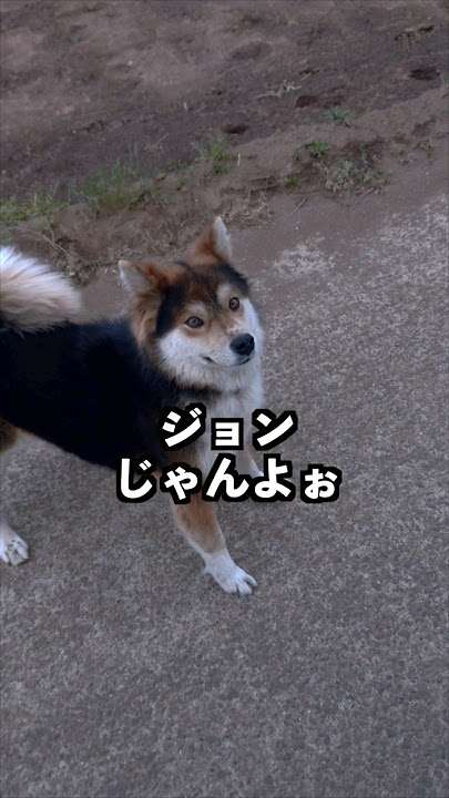 ぼんやりみれるyoutubeありますか？