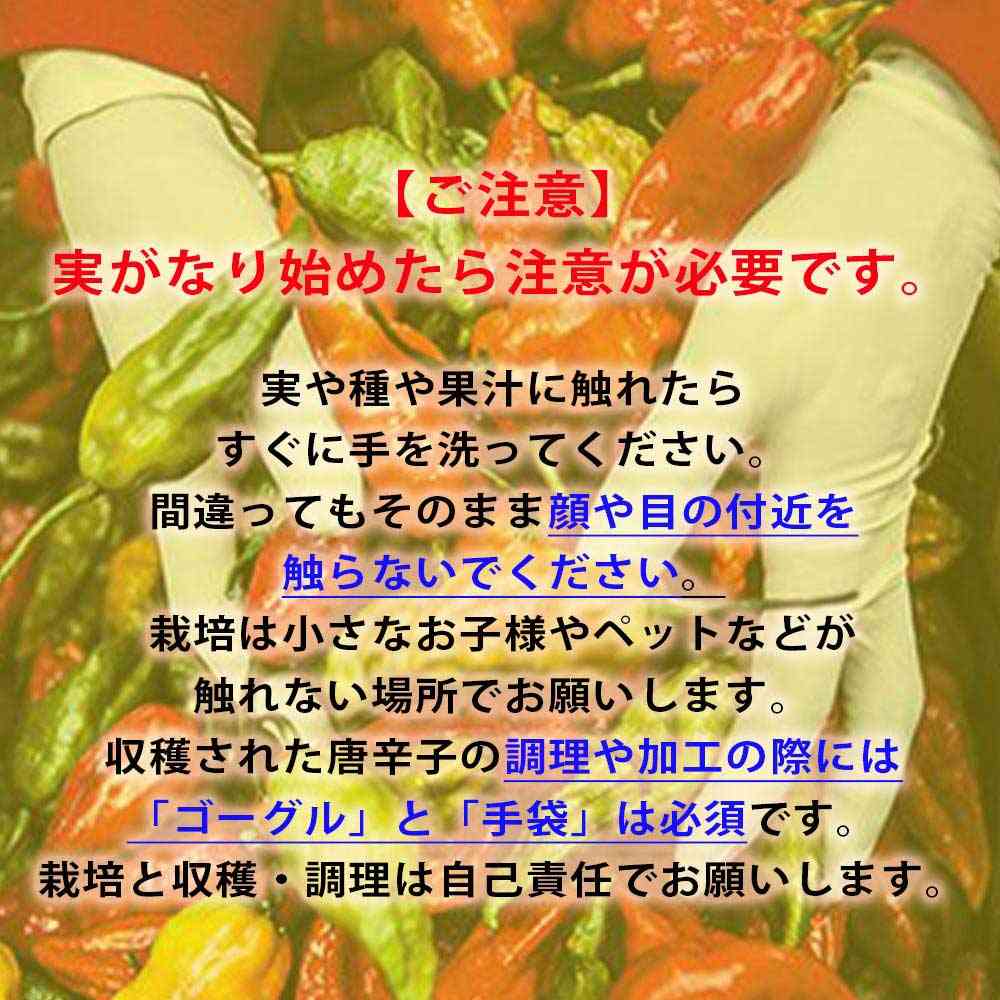 角地民の対策、愚痴