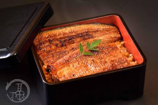 鰻(うなぎ)を語るトピ