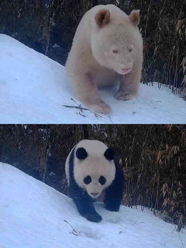 化粧の足し算、引き算