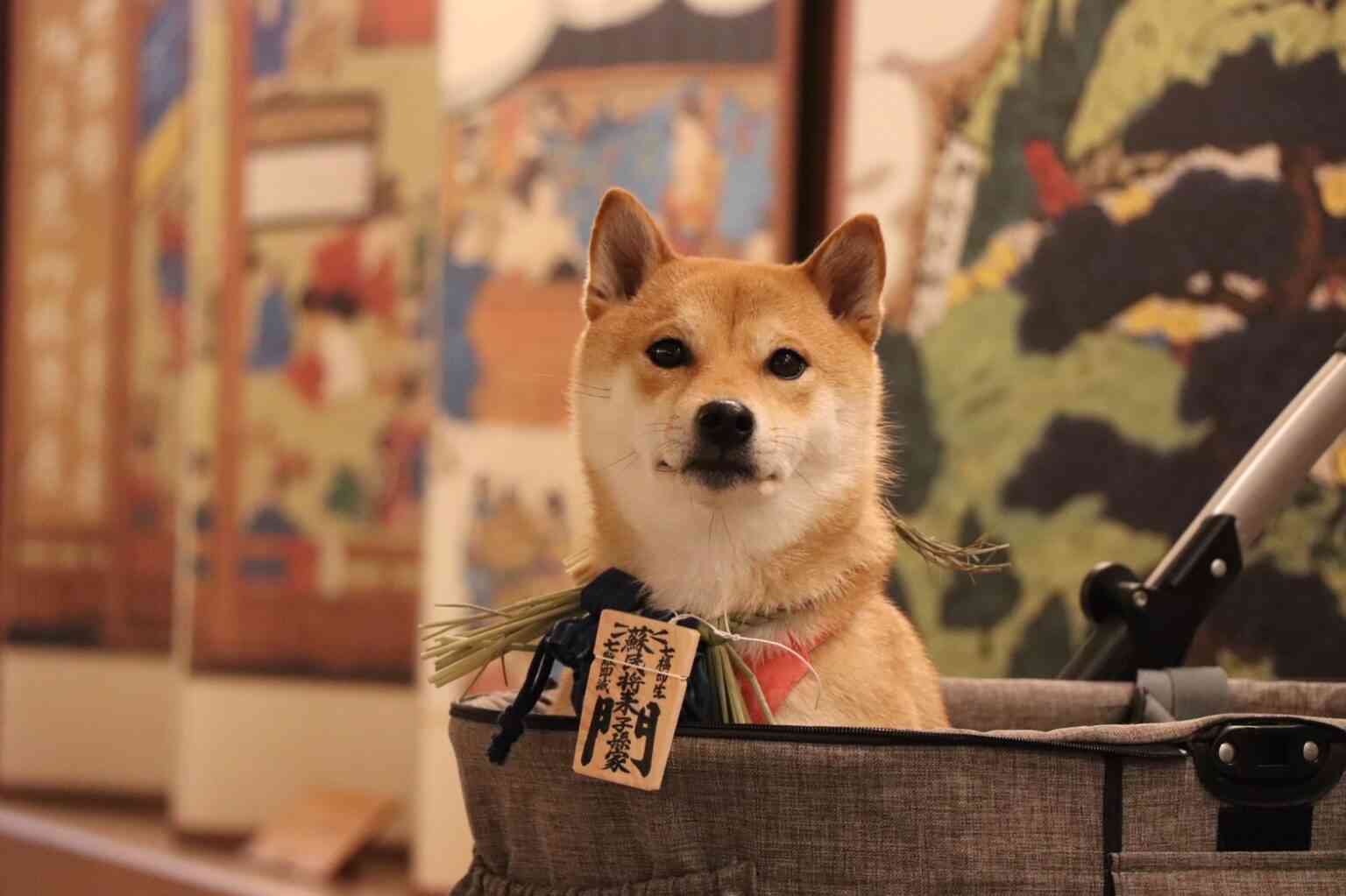 死ぬまでに行ってみたい場所
