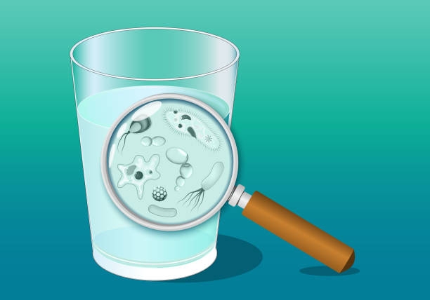 【感染症】一番恐ろしい寄生虫といえば、何だと思いますか!?