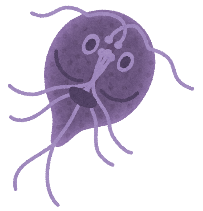 【感染症】一番恐ろしい寄生虫といえば、何だと思いますか!?