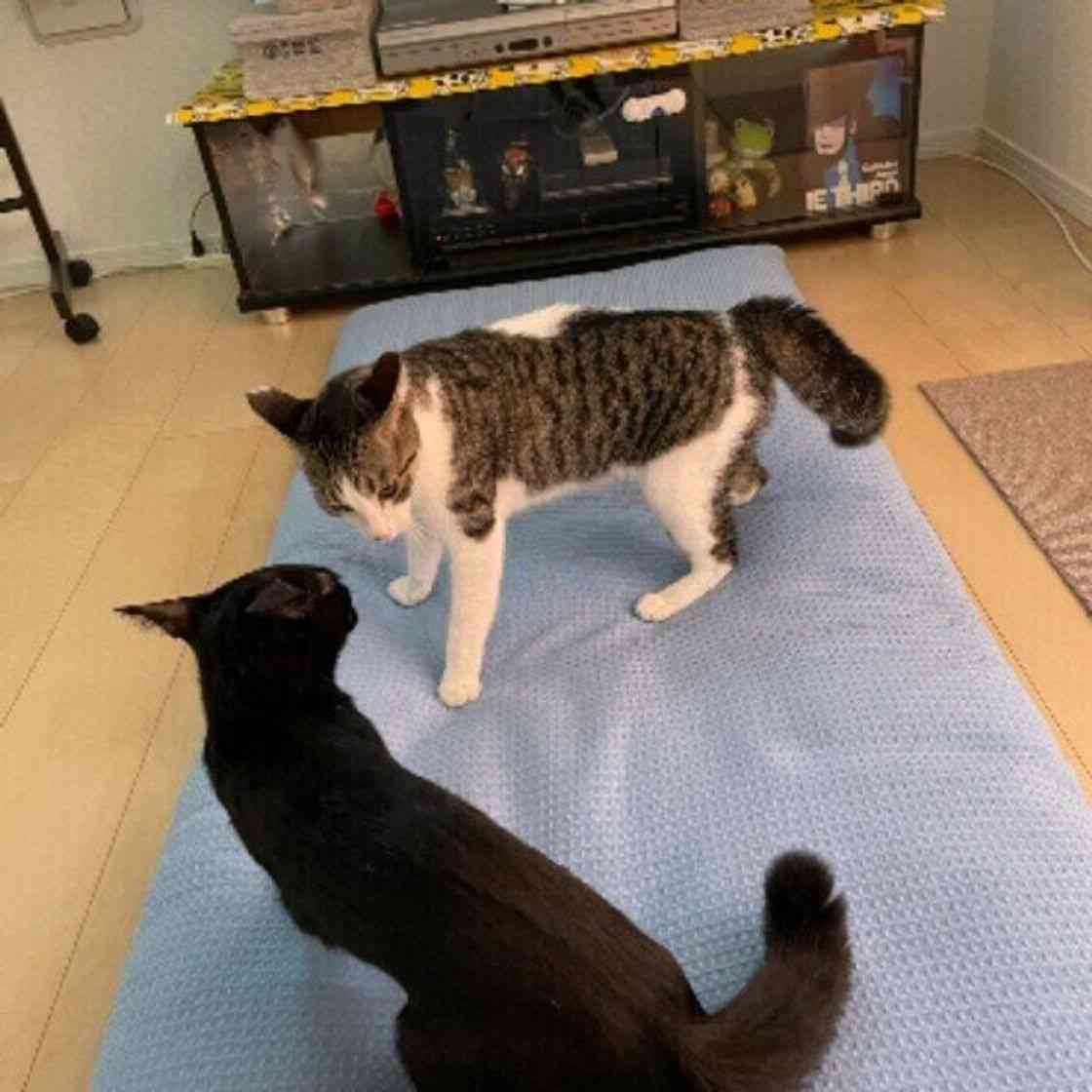 人から敵視されたことある？