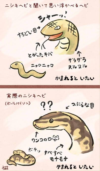 何故蛇が苦手なのか?