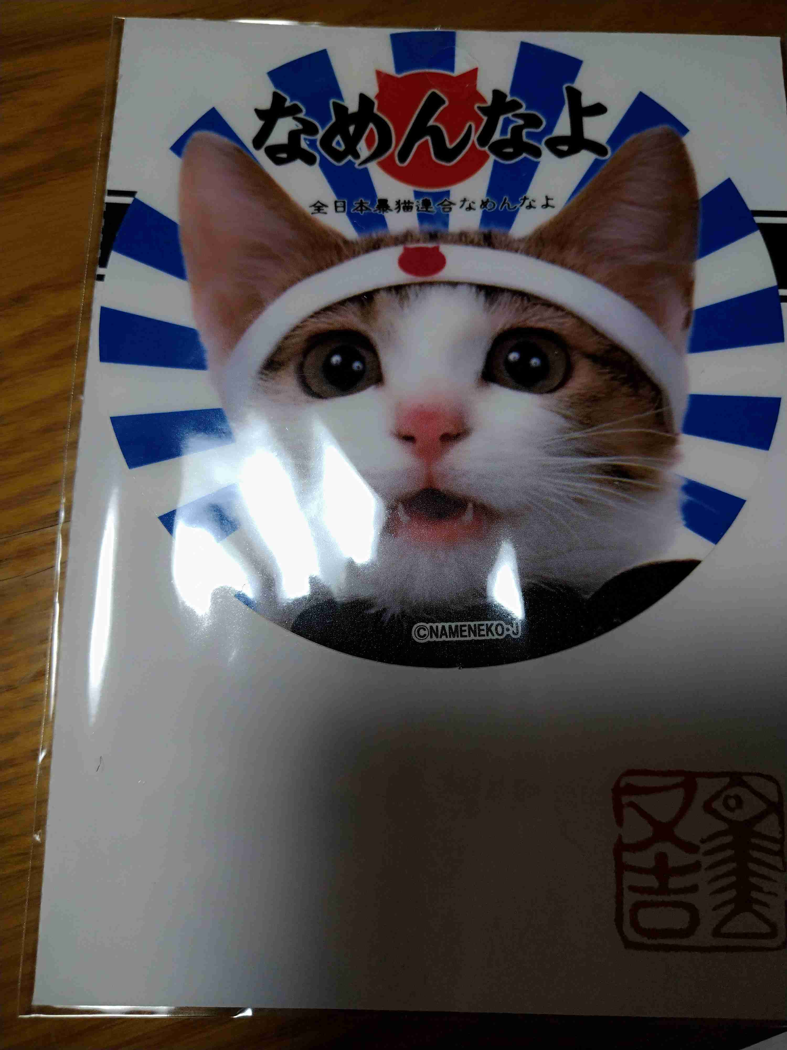 がるちゃん猫カフェ125号店開店しました♪(初めての方も大歓迎♪)
