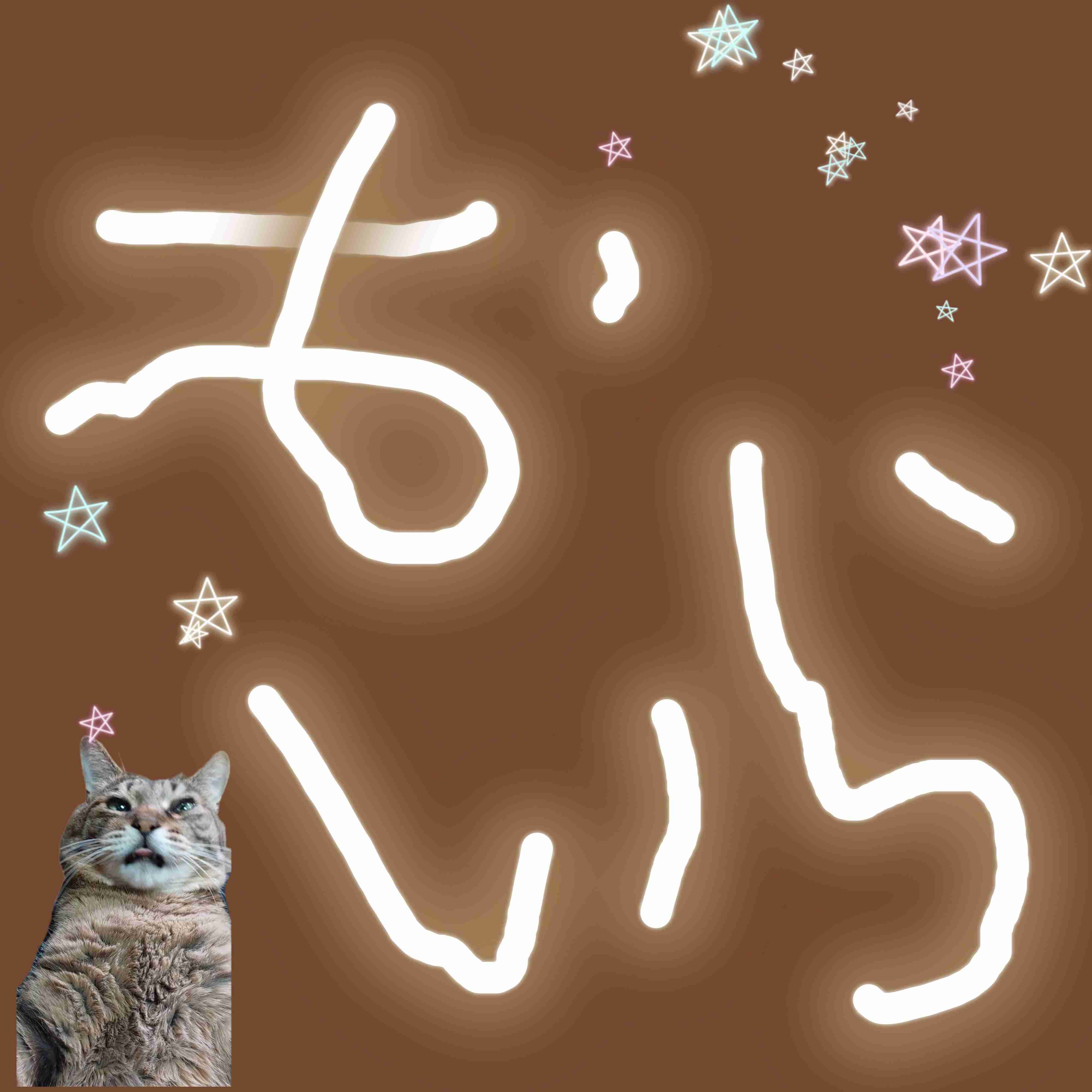 がるちゃん猫カフェ125号店開店しました♪(初めての方も大歓迎♪)