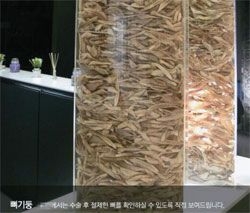 「北方領土はロシアが領有…」加藤登紀子の発言にTBSアナ補足「正しくは実効支配」