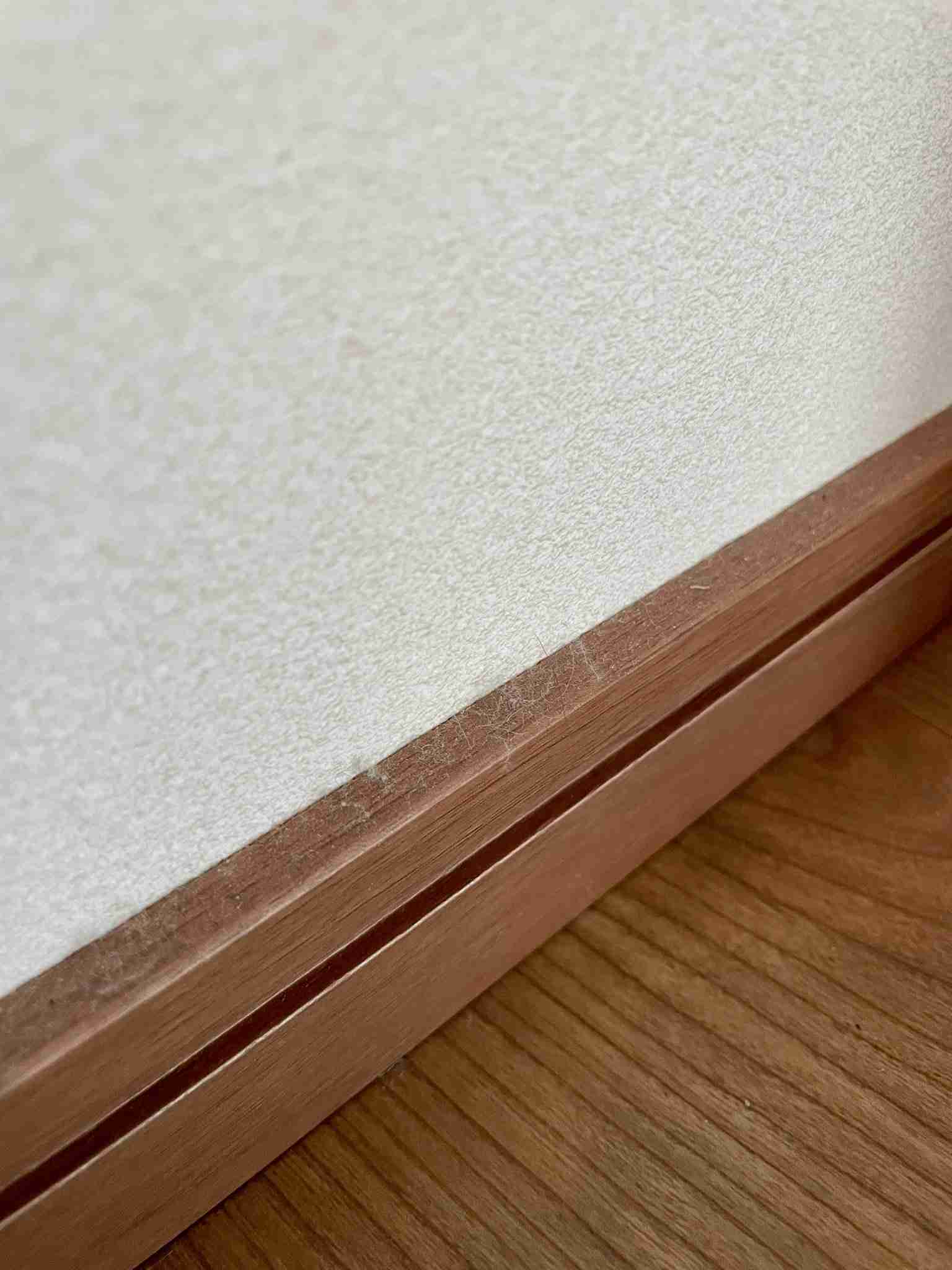 【緊急】明日家に人が来る　どう掃除したらいいか