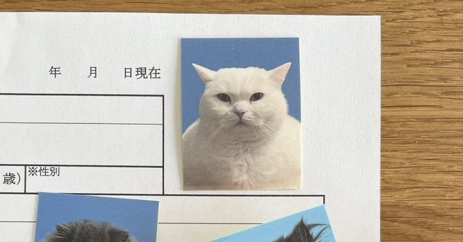 結婚できてしまったボッチだけど結局ボッチのままでリア充な子ども達を見てて悲しくなってしまう