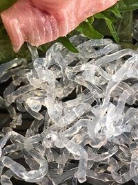 食感が好きな食べ物
