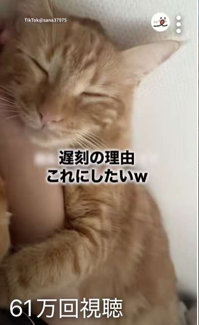 サムネイルで見てしまった動画ありますか？