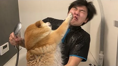 サムネイルで見てしまった動画ありますか？