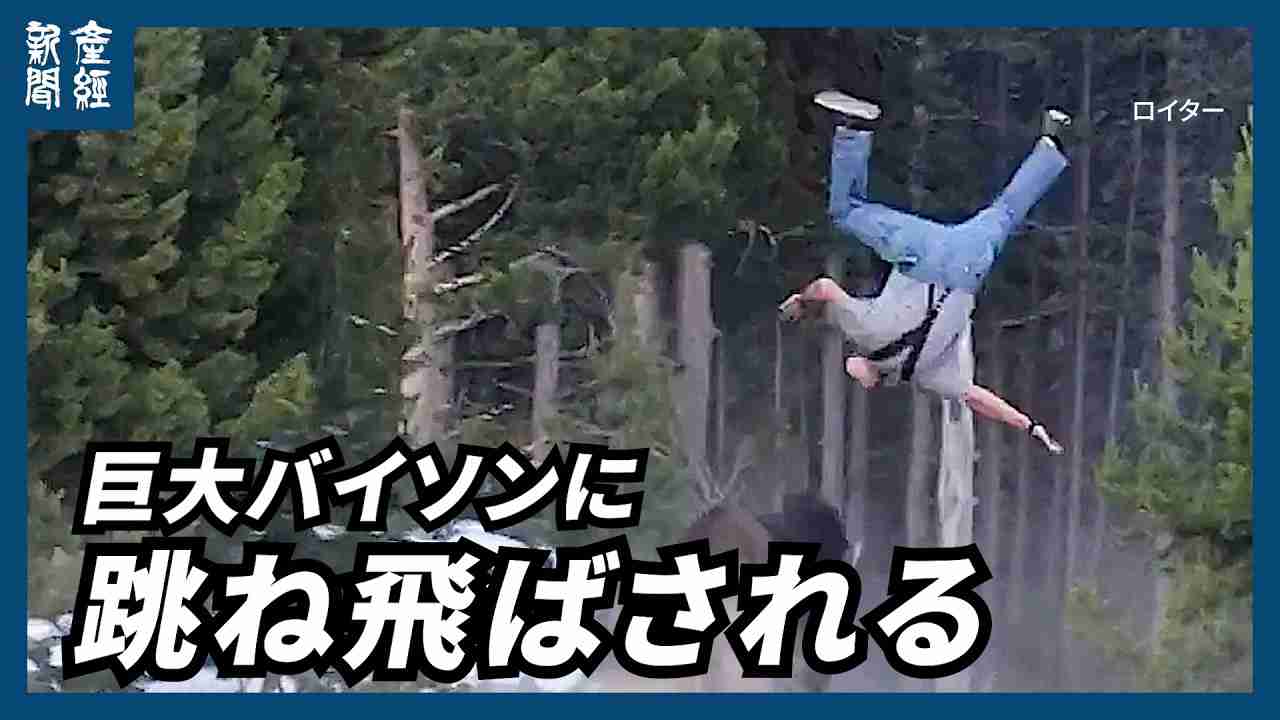 サムネイルで見てしまった動画ありますか？