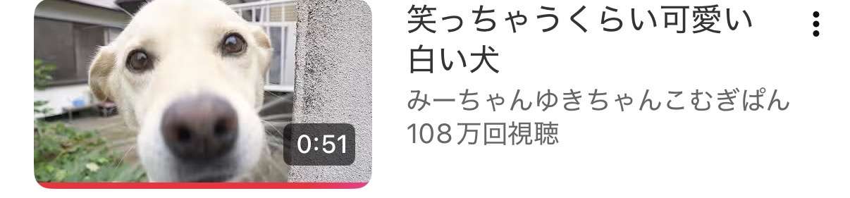 サムネイルで見てしまった動画ありますか？