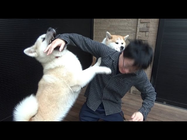 サムネイルで見てしまった動画ありますか？