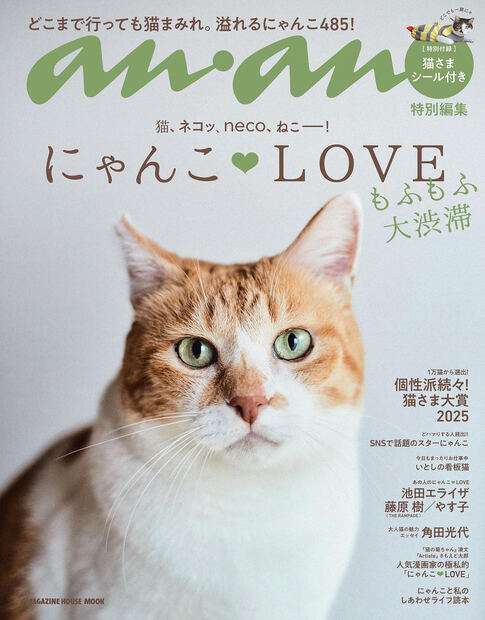 【画像】ananの表紙を貼るトピ