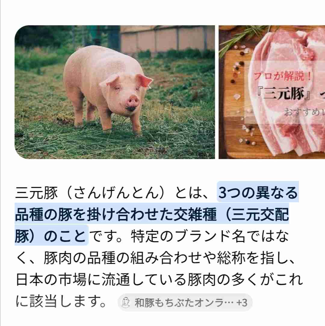ちょっとした相手との会話のネタにしやすい雑学が集まるトピ