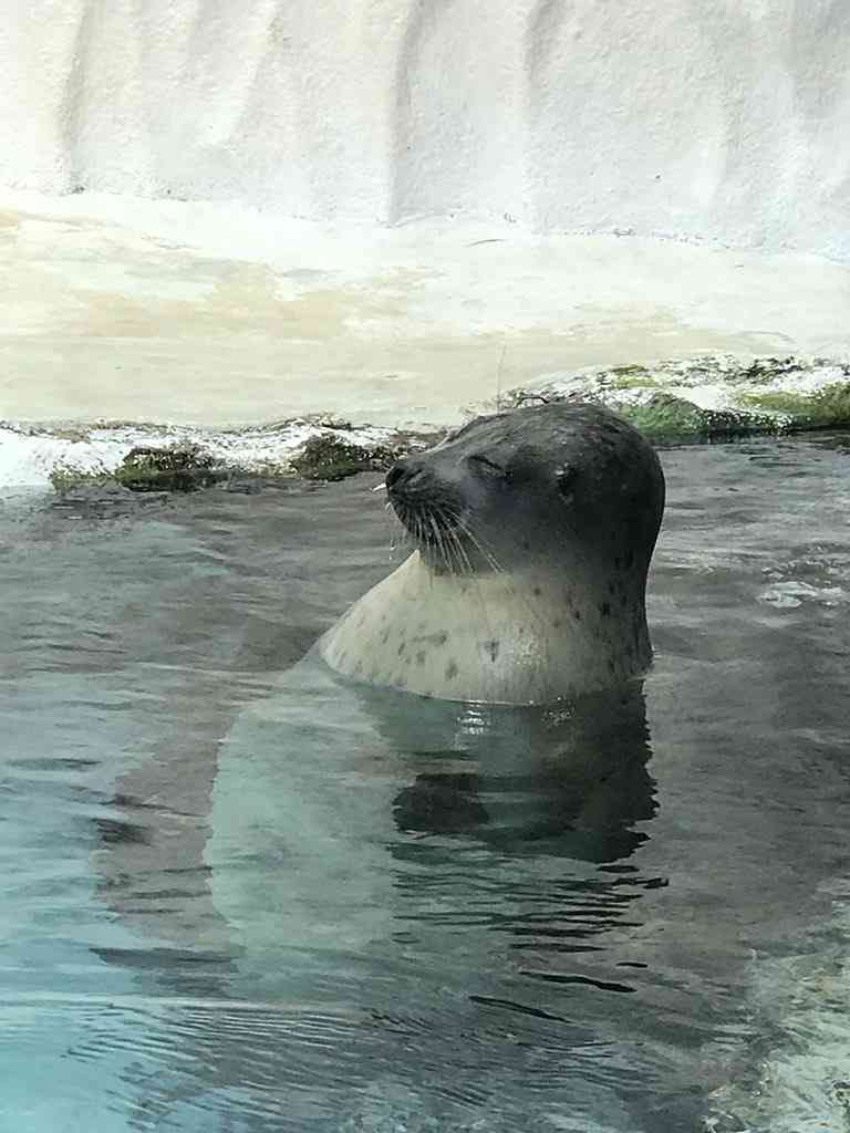 お風呂好きな人〜🛀