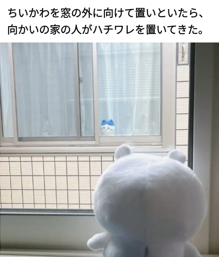 お風呂好きな人〜🛀