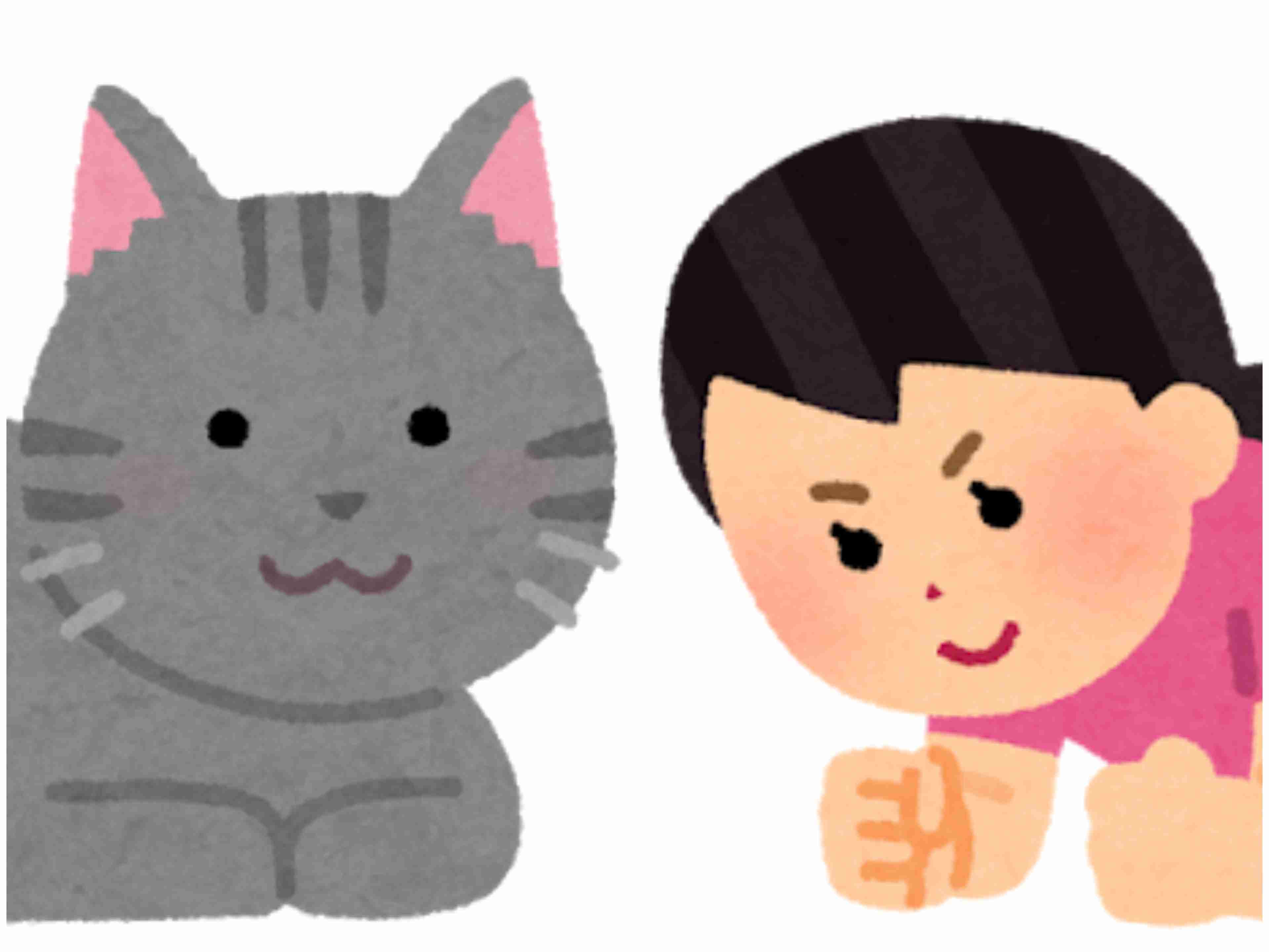 甘えん坊の猫さんを飼っている方