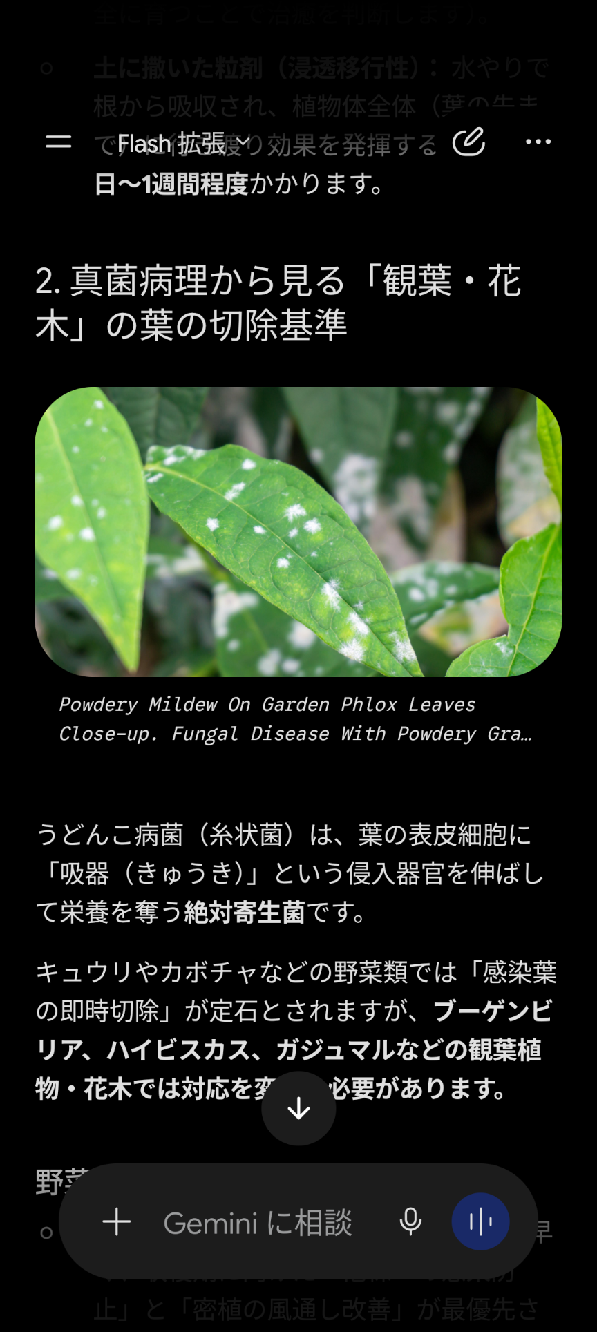 【ガーデニング】ガルちゃん園芸部【花・植物】part.59