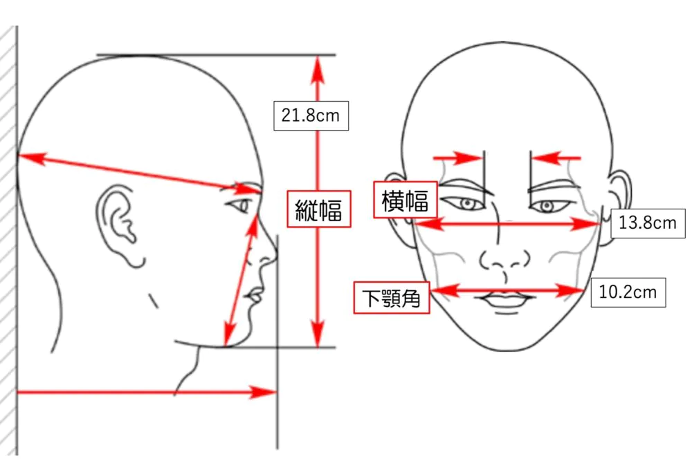 小顔と言われる人のサイズを知りたい！