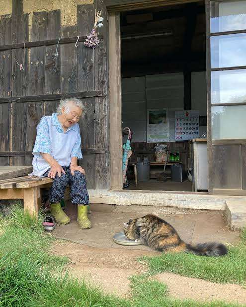 中年の孤独、今後どう迎えれば?