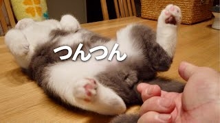 ちょっと特殊なフェチを教えて