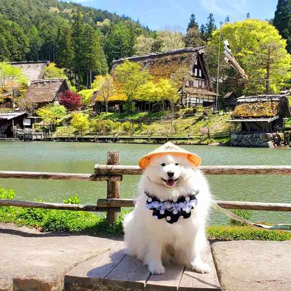 損をした時の立ち直り方法