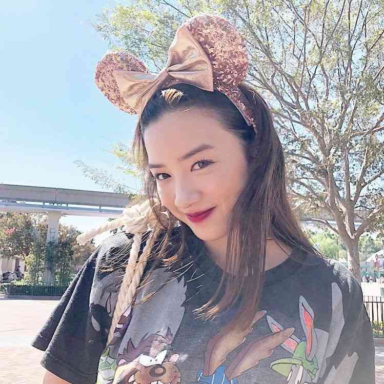 ディズニーランド 好きだったけど行かなくなった人