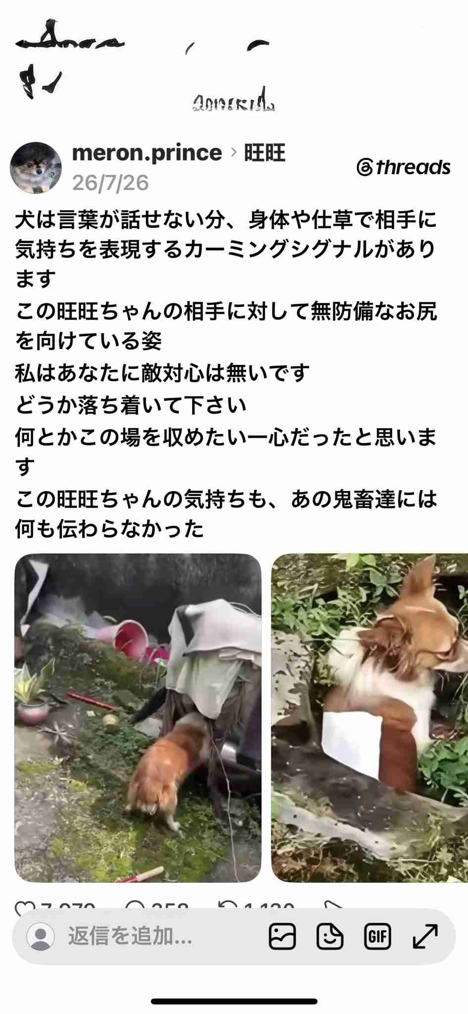 「うわぁ、やってもうた」飼い犬殺害→5日後にまた別の犬を…現在も複数ペット飼育…裁判官が異例の苦言