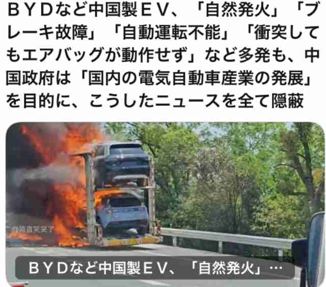 BYDの軽EV「ラッコ」受注が700台超 7月販売は125台