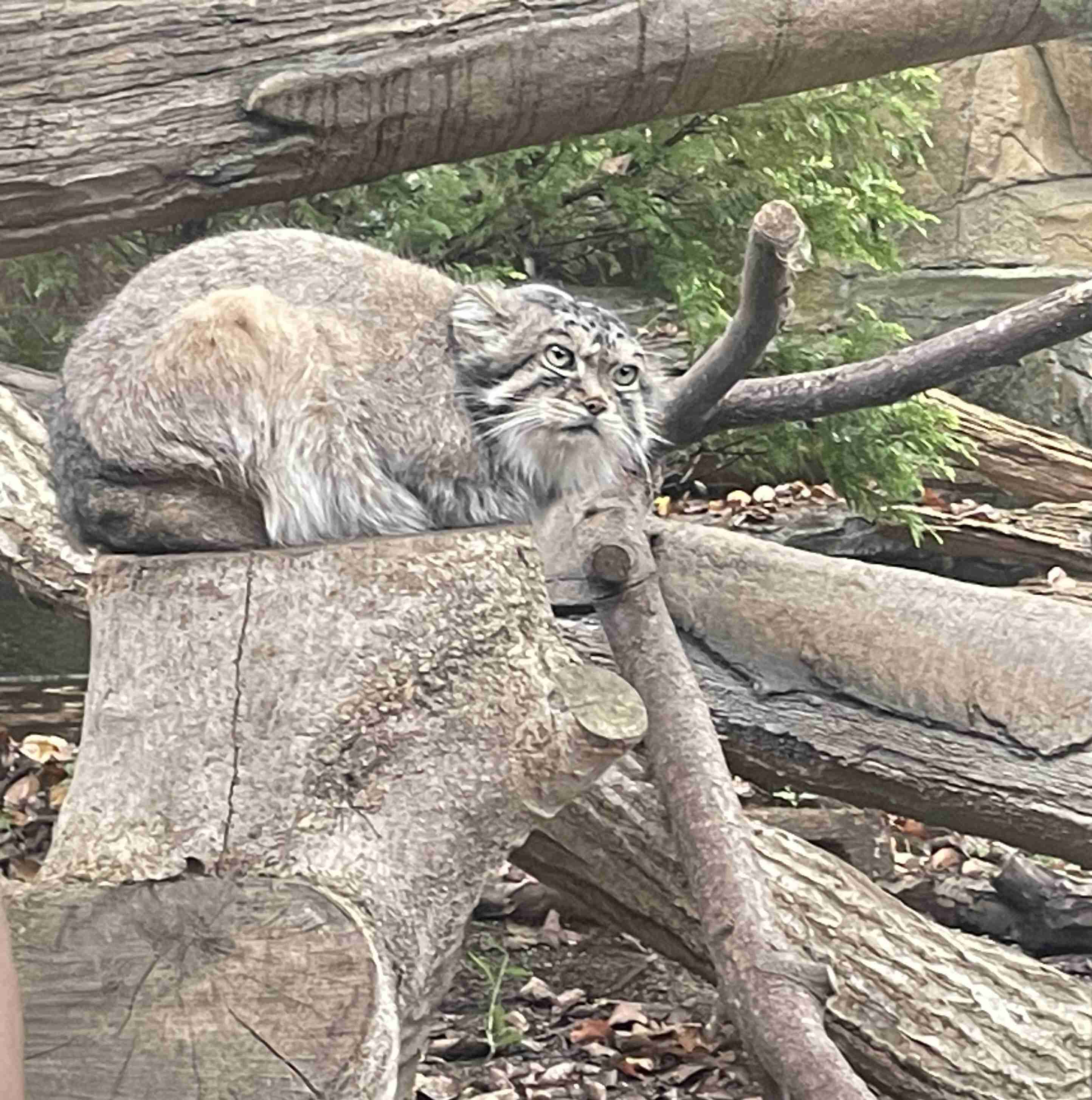 栃木県について知ってること