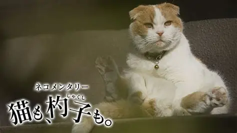 見てる番組を共有したい