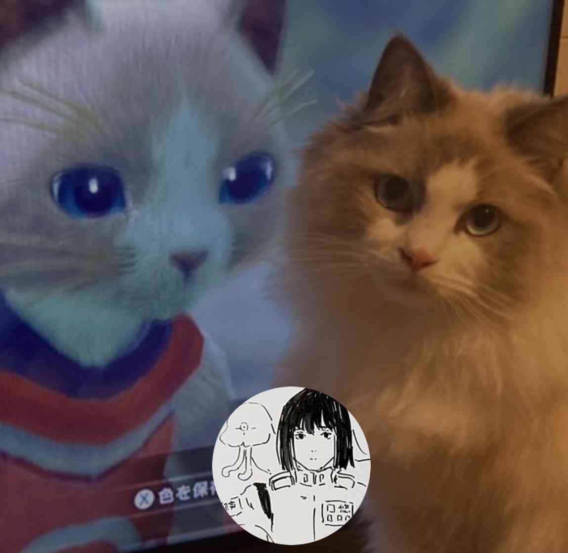 『みいちゃんと山田さん』ついに完結！ 　亜月ねね氏「読んだ人の中に何が残ったか、それが全てです」　累計300万部突破の話題作が衝撃のラスト