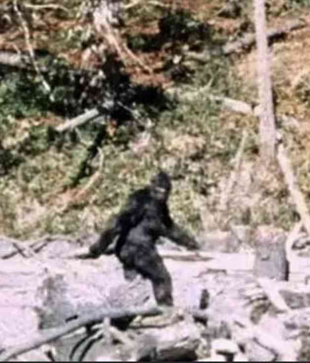 知っている世界の伝説の生き物