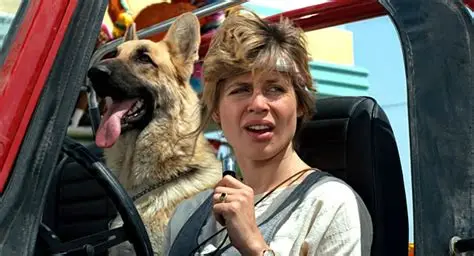 犬を飼っている人、車は何に乗っていますか?