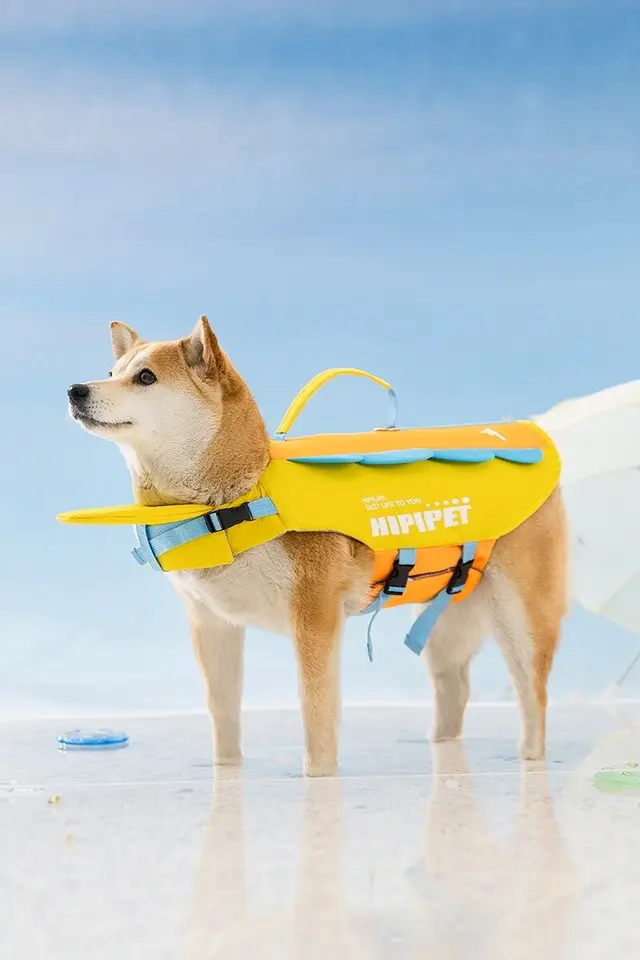 海に転落した柴犬　漂流の末、約26時間後5km先の島で無事発見! 飼い主と涙の再会 SNSの拡散が奏功【愛媛】
