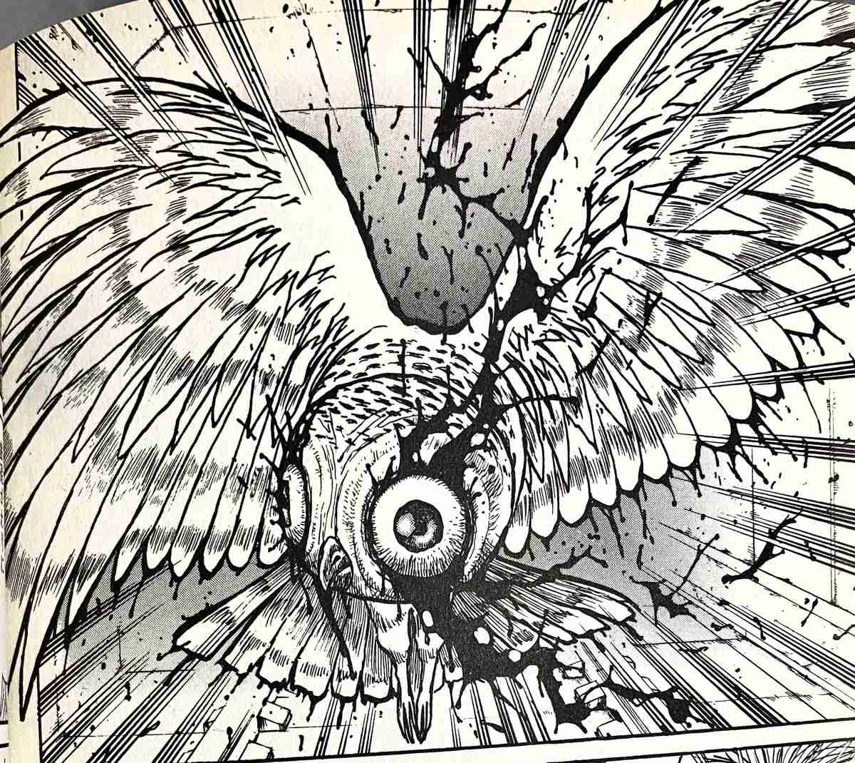 鳥の画像だけでどの作品か当てるトピ