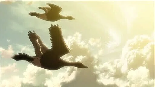 鳥の画像だけでどの作品か当てるトピ
