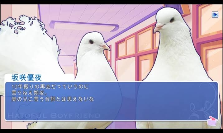 鳥の画像だけでどの作品か当てるトピ