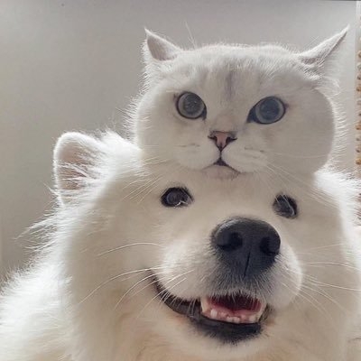 不安障害の生き方