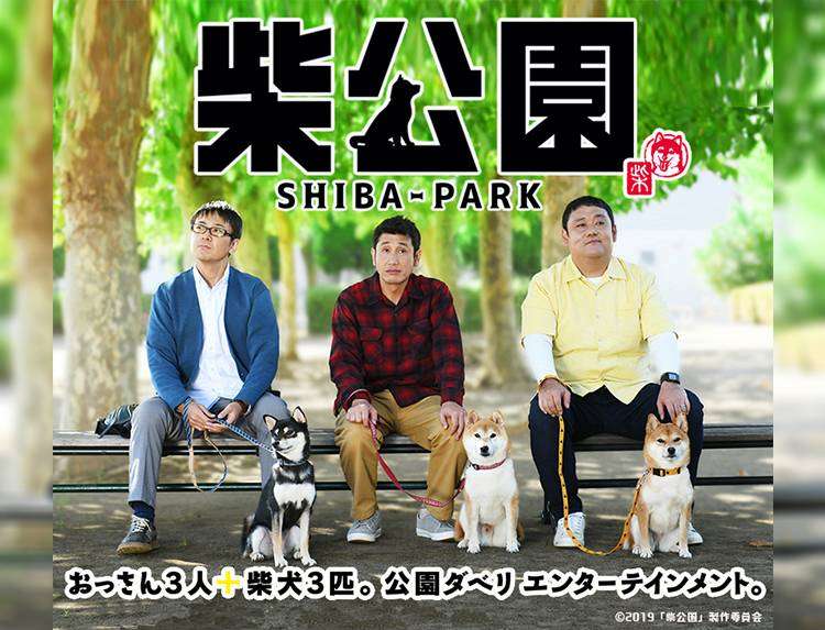 柴犬好きな人